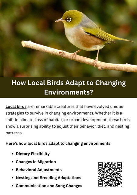 Local birds adapt to changing environments through behavioral, physiological, and migratory adjustments. They may alter feeding habits, nesting locations, or breeding times to survive habitat changes. Some develop resistance to urban pollution or shift to new food sources. Understanding local birds helps conservation efforts and promotes coexistence, ensuring these species continue thriving despite environmental challenges. To know more visit here https://wildbirdguide.com/category/local-birds/