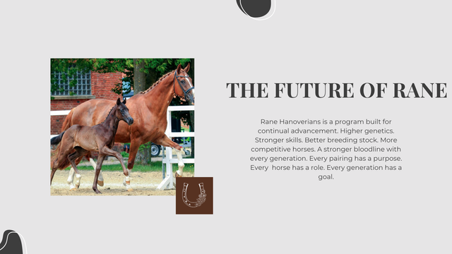 Horse-Rider-Club-7.png?utm_source=chatgpt.com