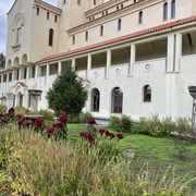 IMG 0336