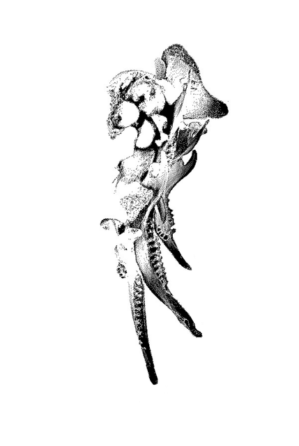 Untitled-design-27