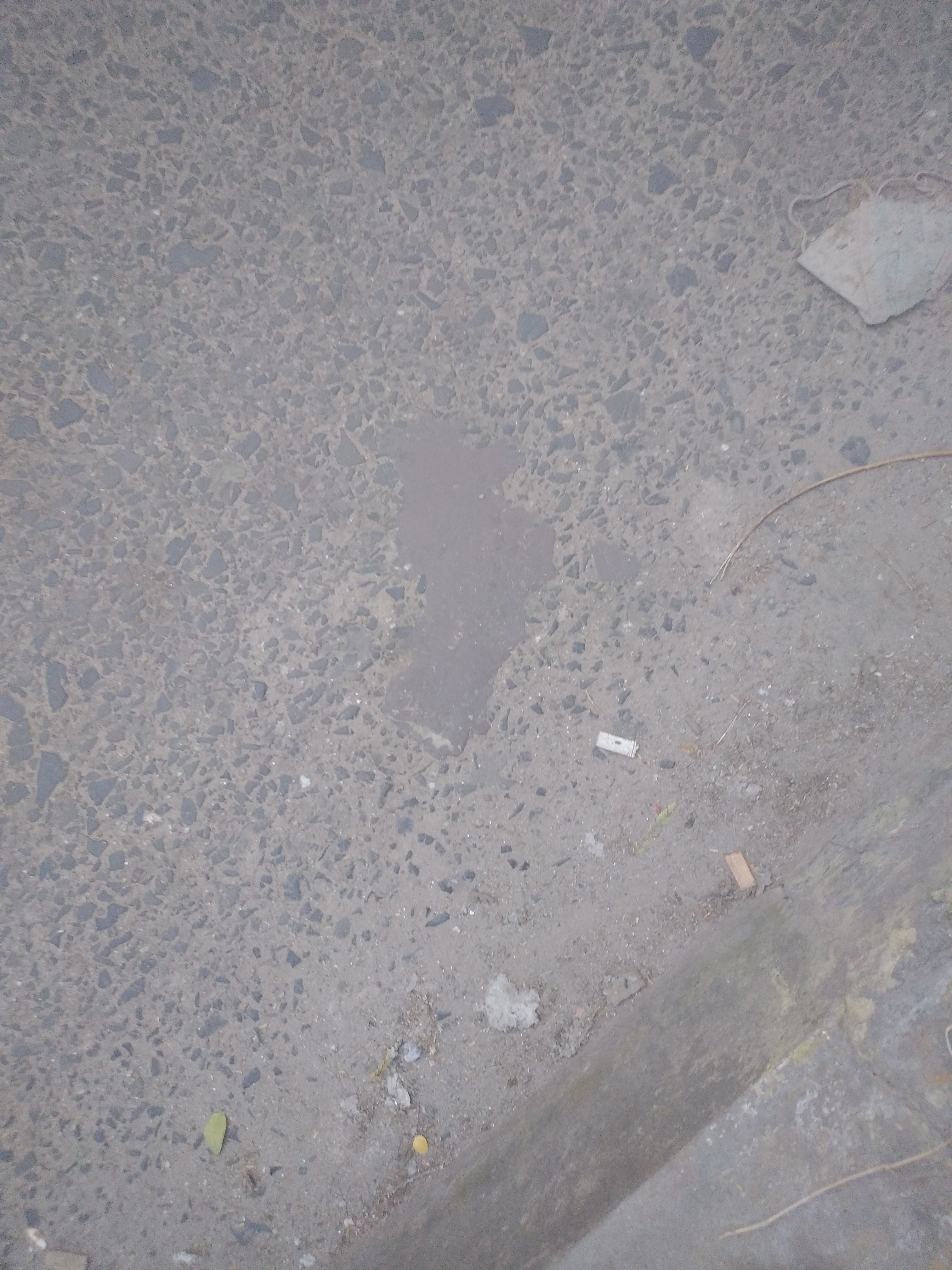 Image Id: 78