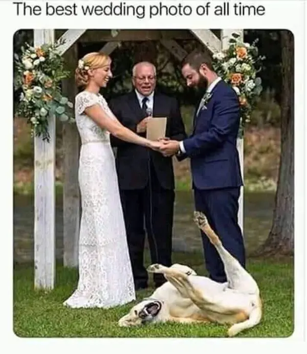 wedding.webp
