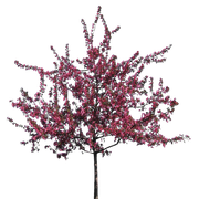 8o4F4K6