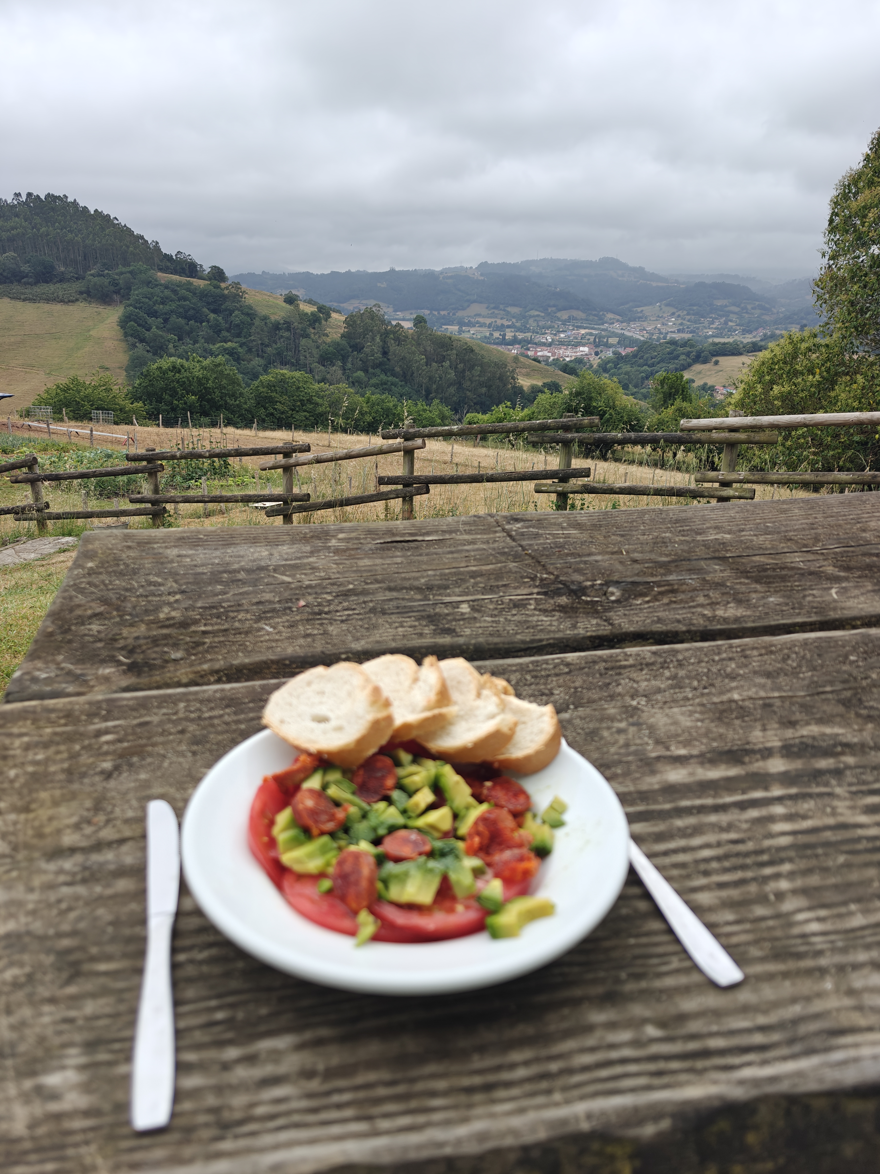 Dag 20 - Oviedo 🥏 San Juan de Villapañada 7