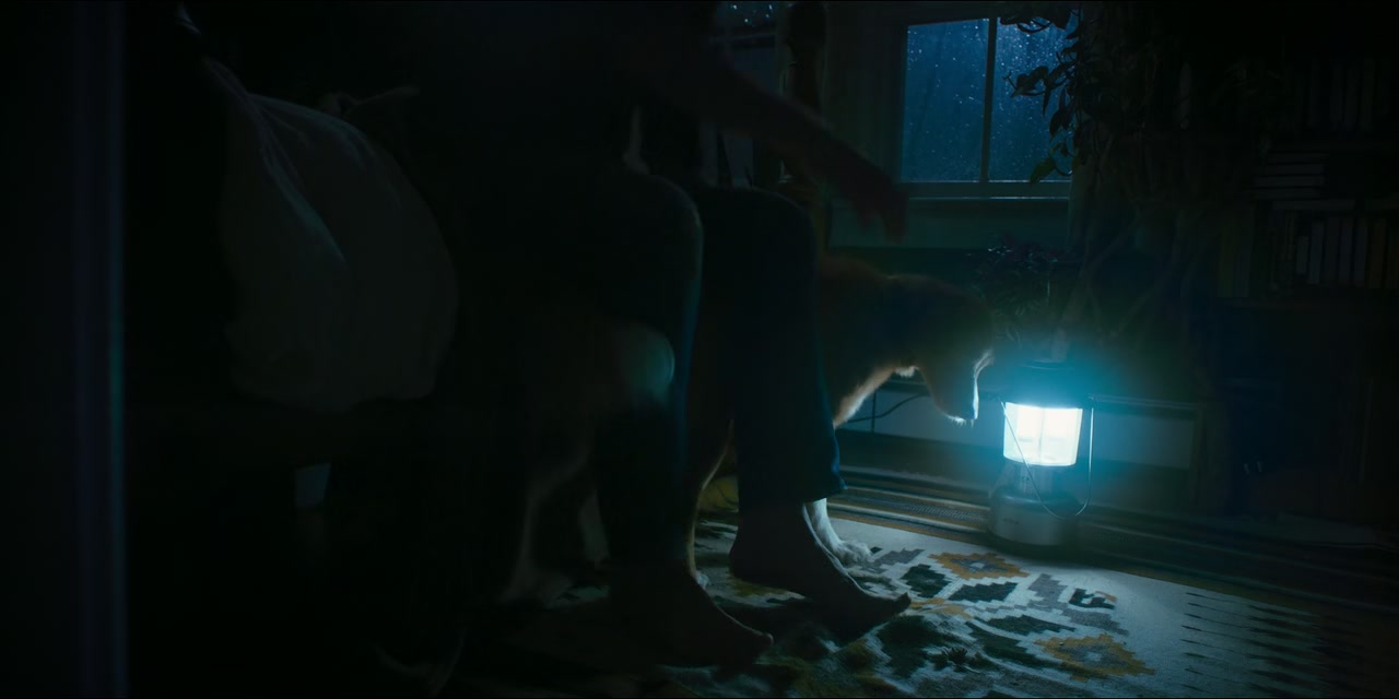 Good Boy Screenshot
