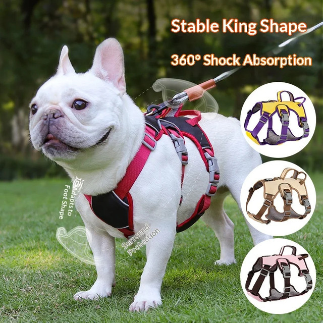 Dog Harness Image 2