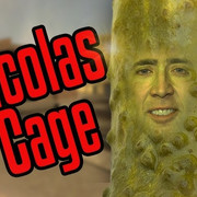 nic pickle
