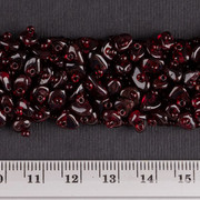 DSC-5406