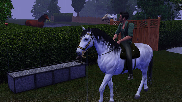 Screenshot 30