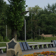 DSC5486