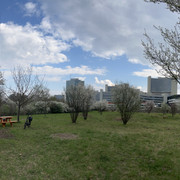 IMG-8722