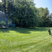 IMG-0015