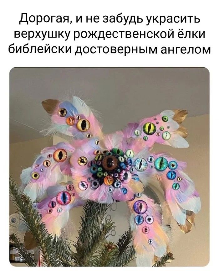 7742078.jpg