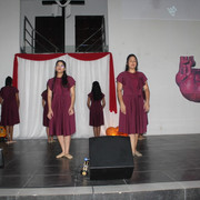 IMG-0293