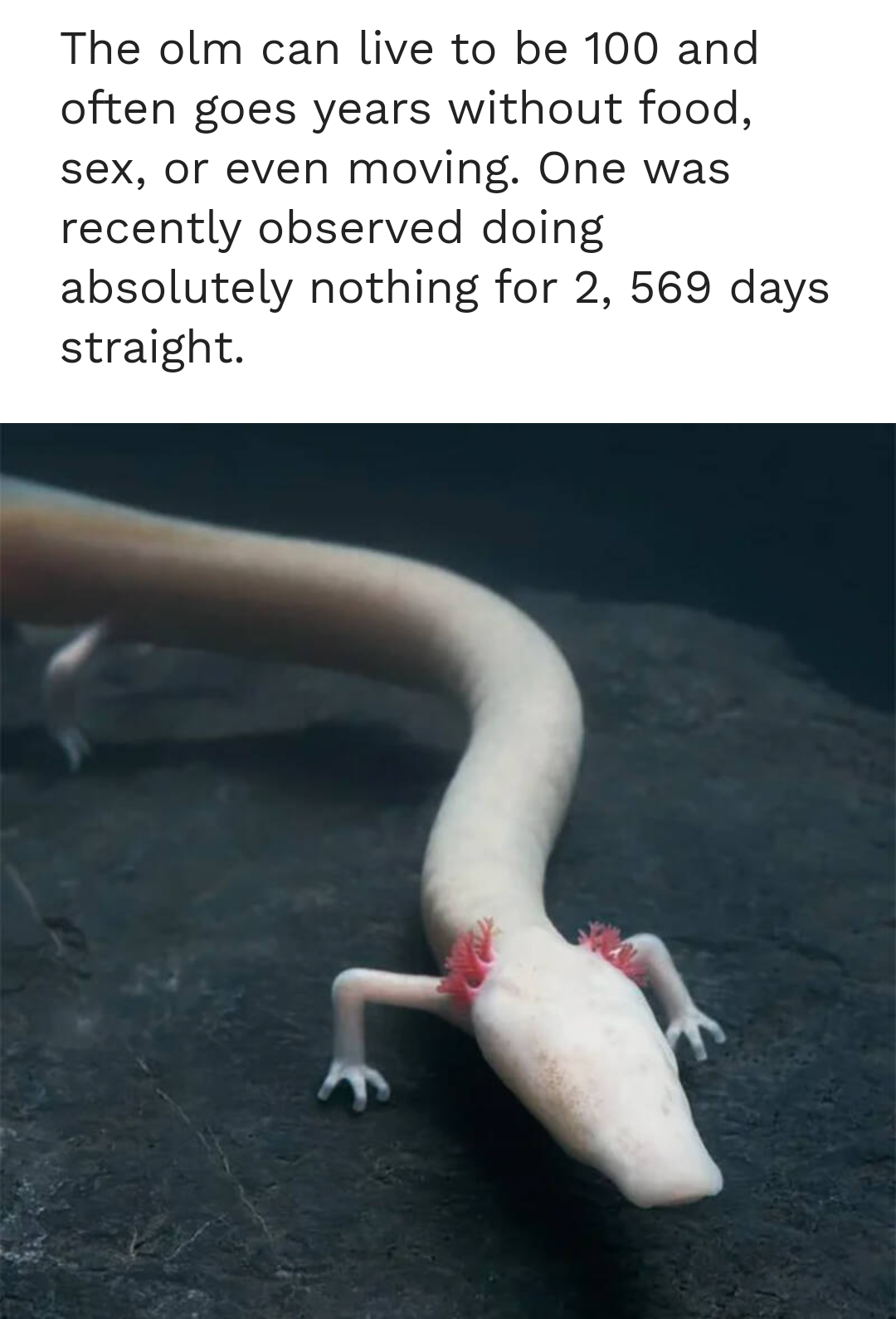 3i766qs4kli81.png