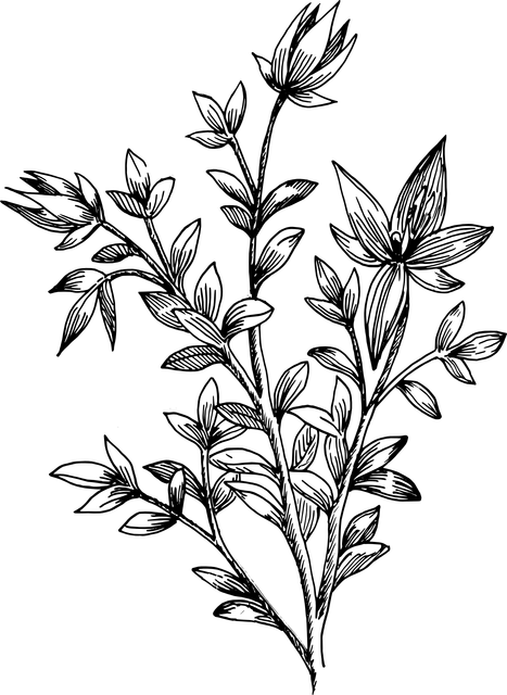 14 (2).png