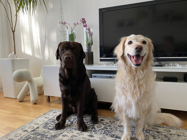 AA956-EE3-E127-45-D9-9241-88-AA0-D3-B361