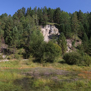 IMG 0339