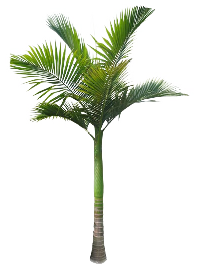 pngwing-com-3.png