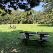 IMG-9949