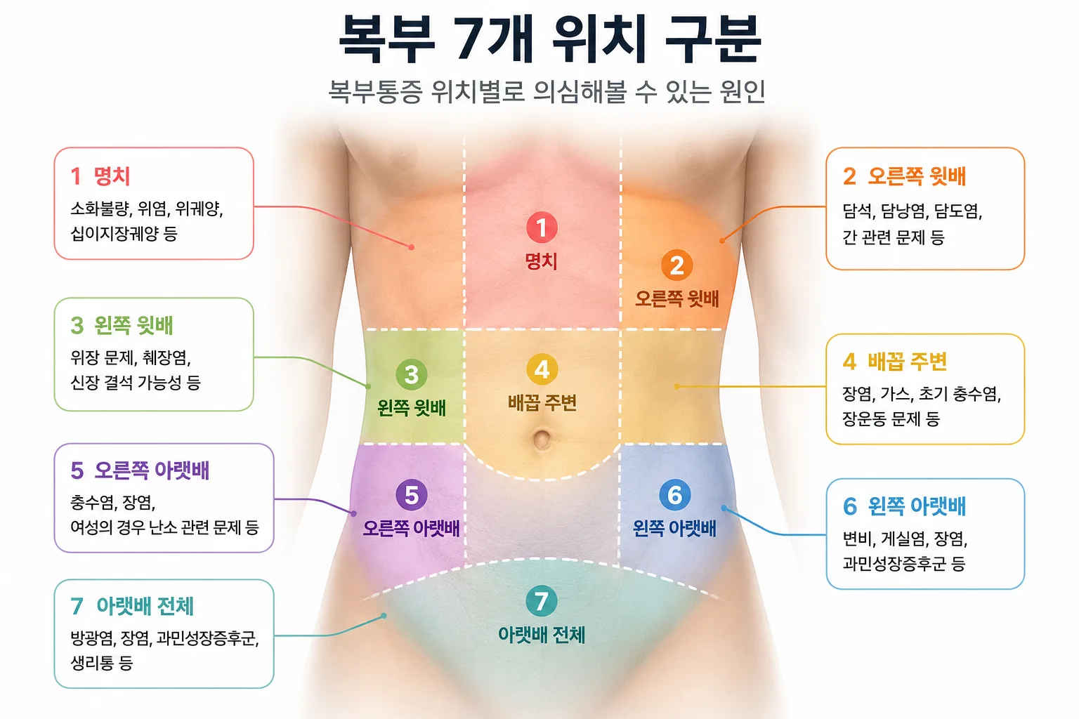 복부통증 위치별 원인을 7개 복부 부위로 나눈 안내 이미지