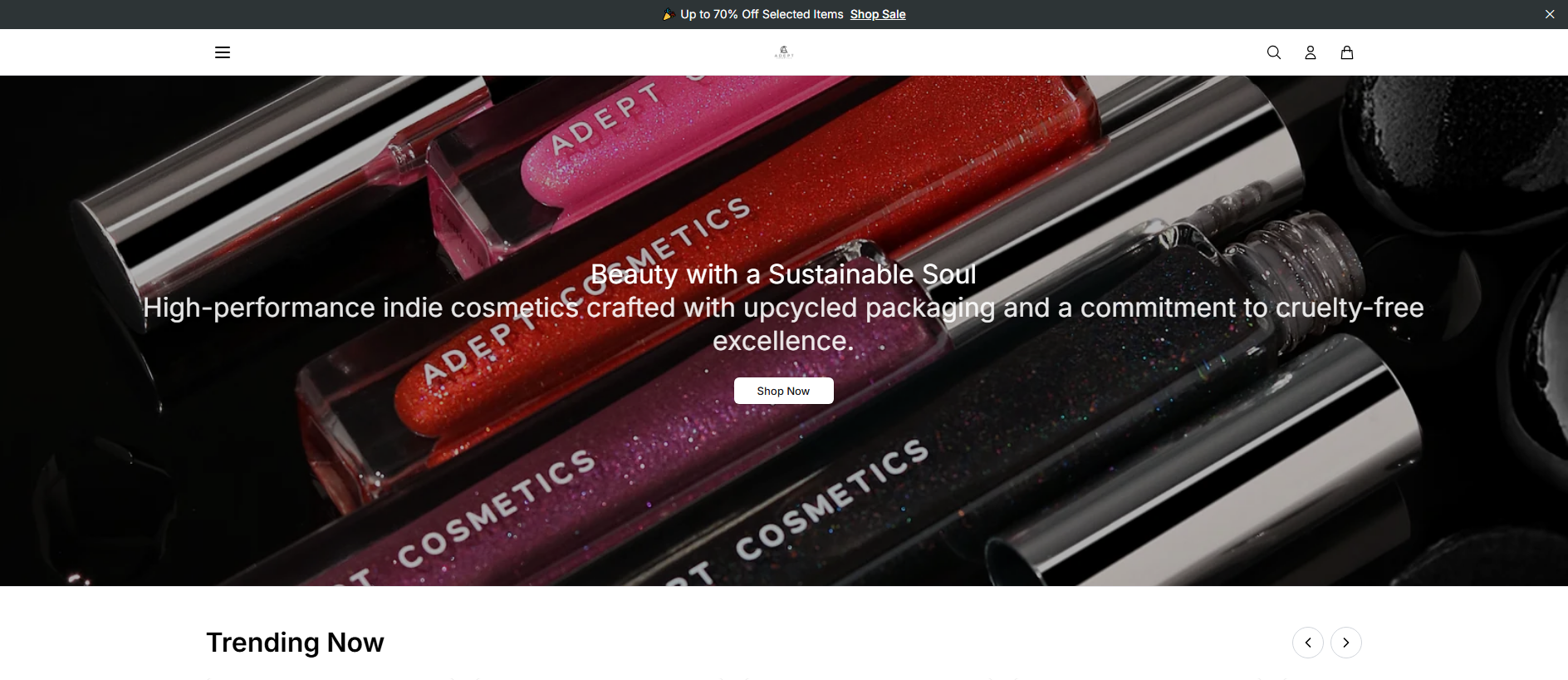 Stored capture of adeptcosmeticsbeauty.shop