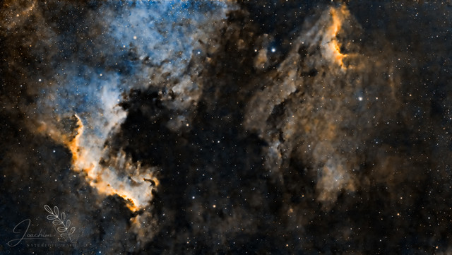 NGC 7000 HOO