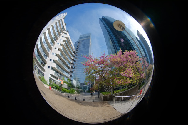 DSCF9030.jpg