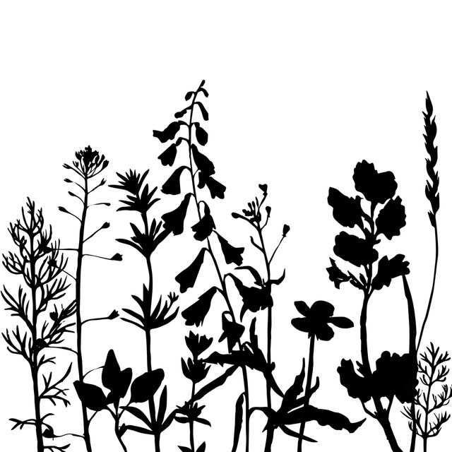 77d261c55f.jpg