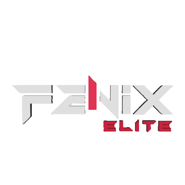 ASSET FENIX PVP