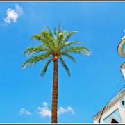Mosque-01-2