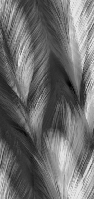 IMG-20190930-021504