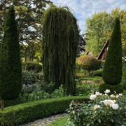 IMG-0649
