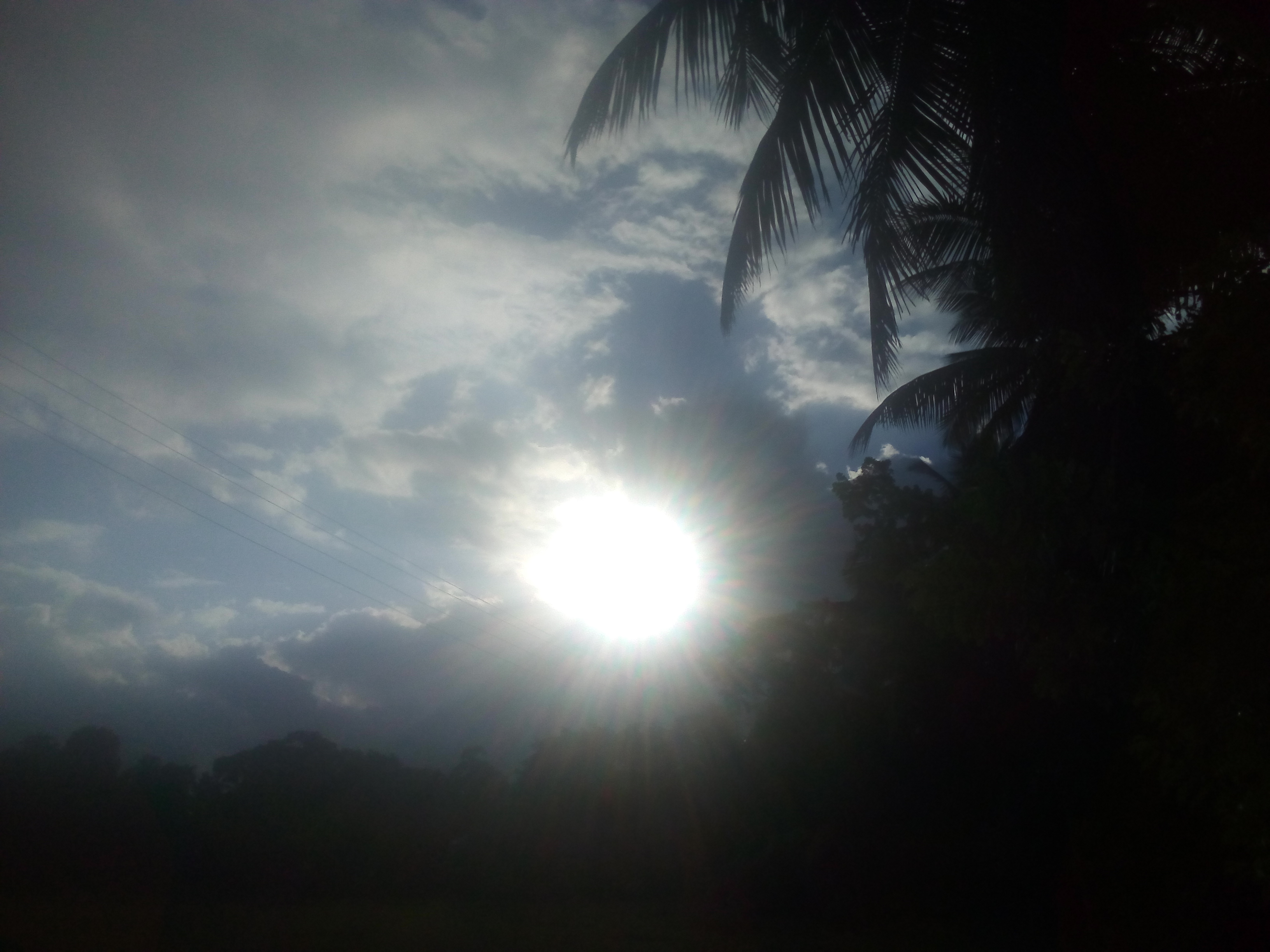 2308031716-1.jpg