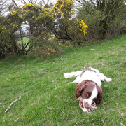 113a-Tess-With-Stick