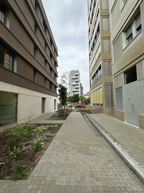IMG-8108