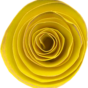 11-662432