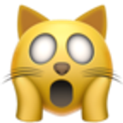 weary-cat-1f640