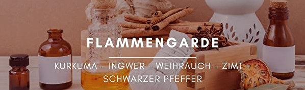 Header-Flammengarde.png