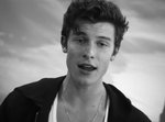 shawnmendesificanthaveyou.jpg