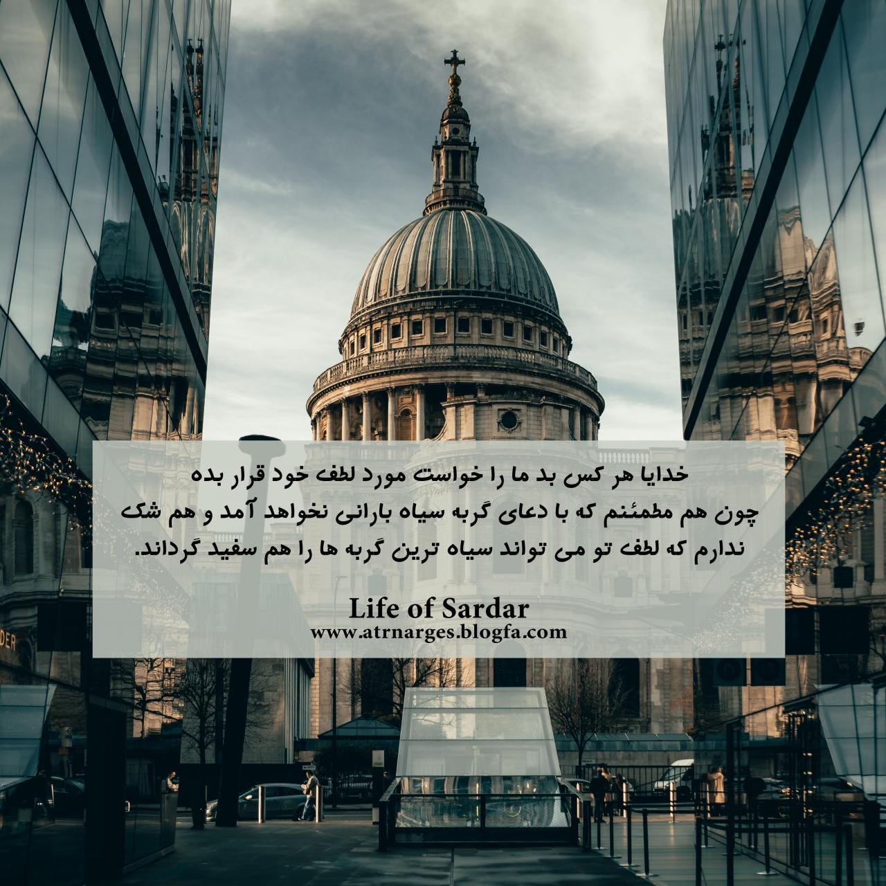 گربه سیاه