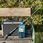 IMG-3399