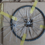IMG-6311