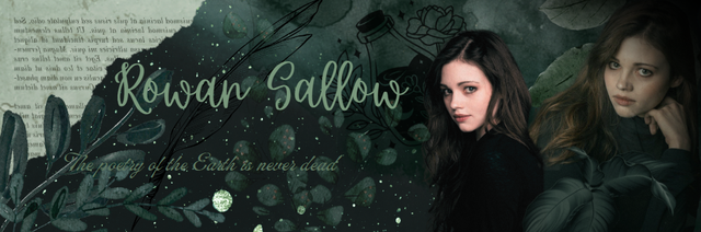 Rowan-sallow-banner3