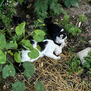 IMG 20260725 144834
