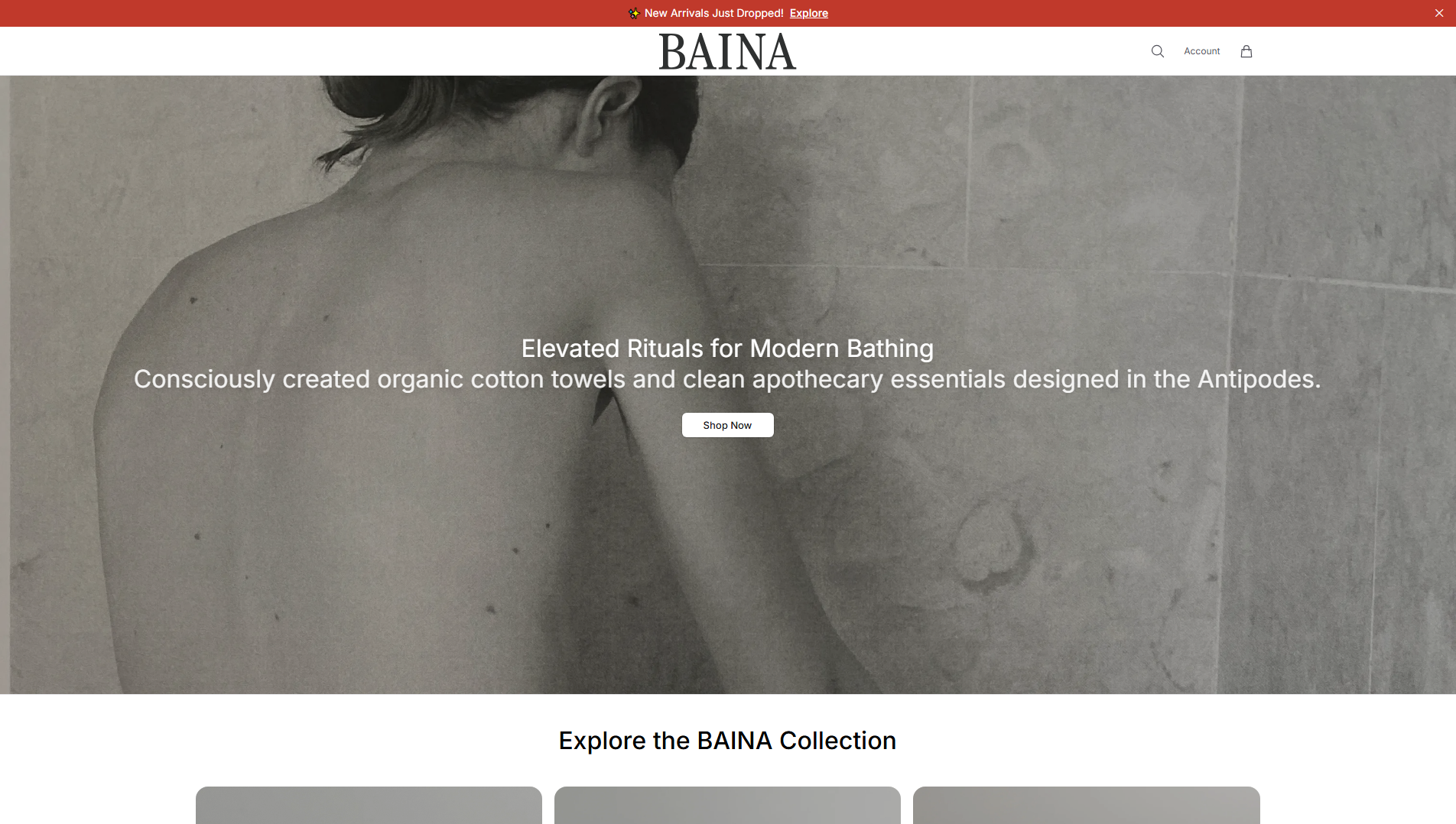 Stored capture of bainacollection.shop