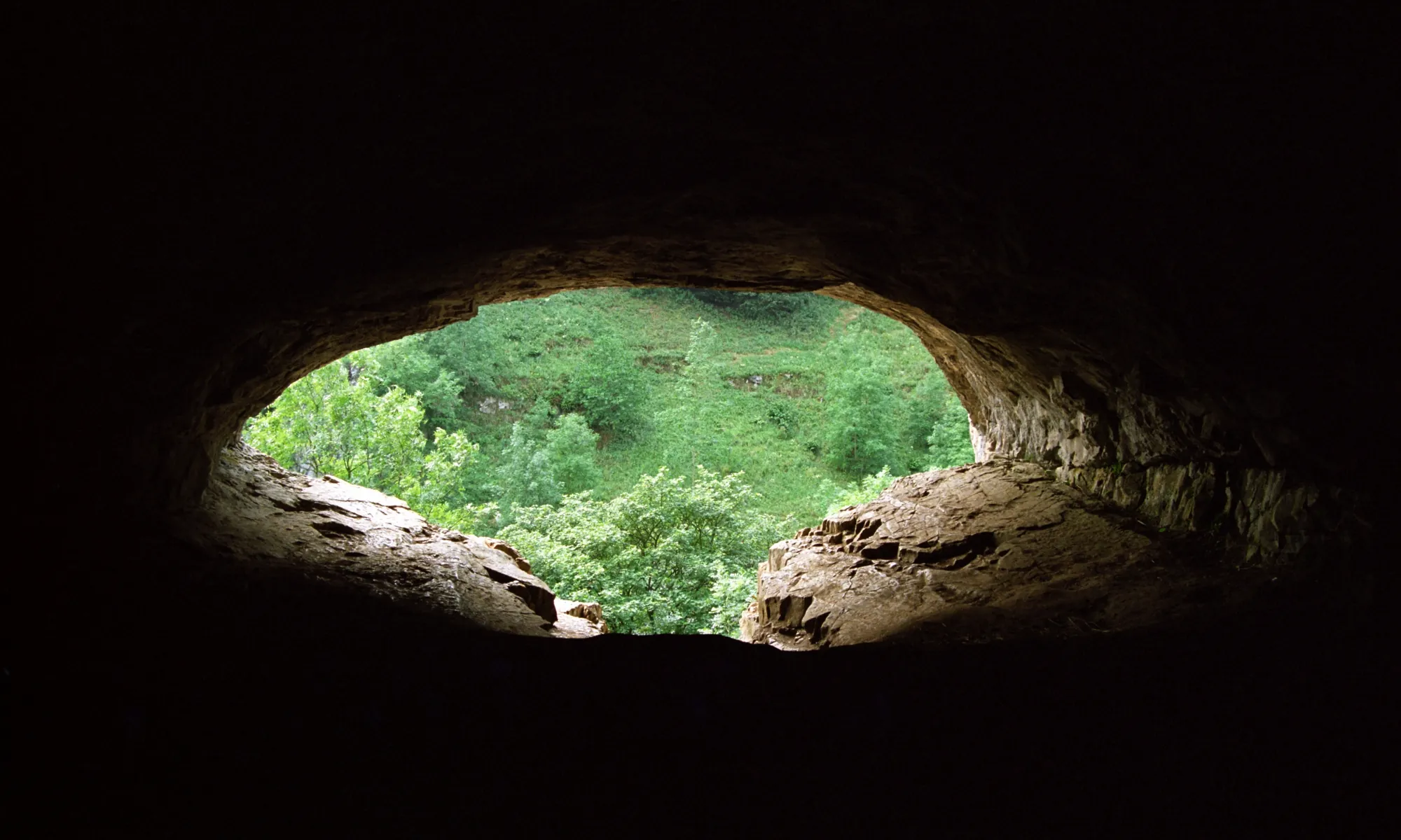 Darkness surrounds the eye-shaped entrance to Thirst House, showing a patch of woodland on the opposite side of Deep Dale.