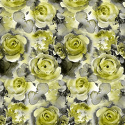 shutterstock-2346933327