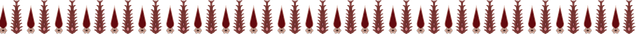 Untitled 9.png