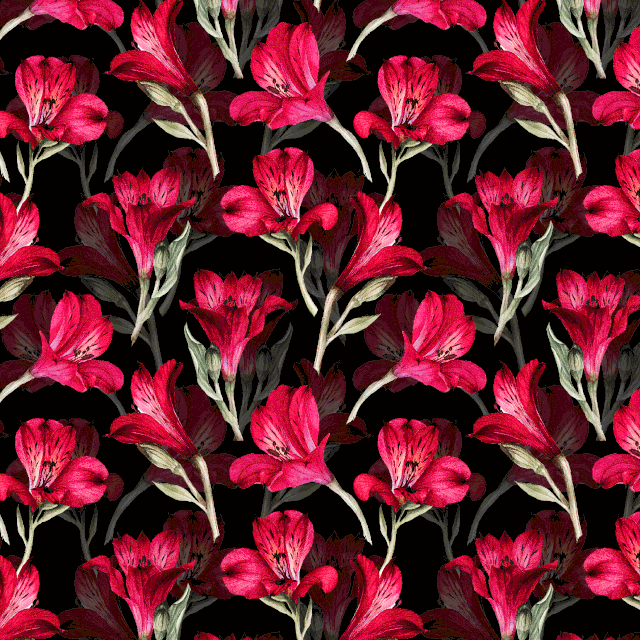 09.gif